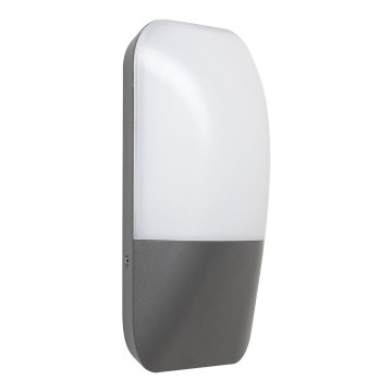 Rabalux 7996 - LED Utomhus Väggbelysning ECUADOR LED/10W/230V IP65 800lm 4000K