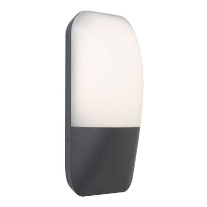 Rabalux 7996 - LED Utomhus Väggbelysning ECUADOR LED/10W/230V IP65 800lm 4000K