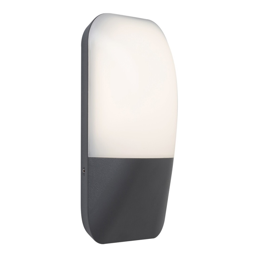Rabalux 7996 - LED Utomhus Väggbelysning ECUADOR LED/10W/230V IP65 800lm 4000K