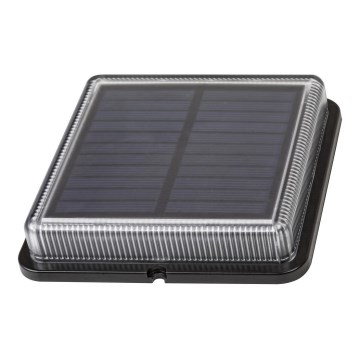 Rabalux 8104 - LED Utomhus sollampa BILBAO LED/1,5W/3,2V 4000K IP67
