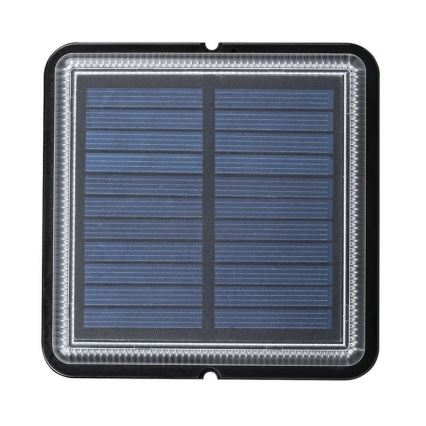 Rabalux 8104 - LED Utomhus sollampa BILBAO LED/1,5W/3,2V 4000K IP67
