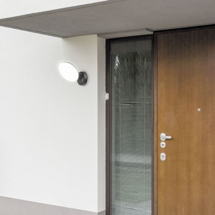 Rabalux 8134 - LED Utomhus Väggbelysning VARNA LED/12W/230V IP54