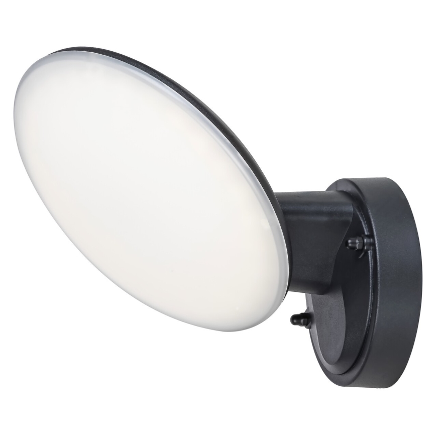 Rabalux 8134 - LED Utomhus Väggbelysning VARNA LED/12W/230V IP54