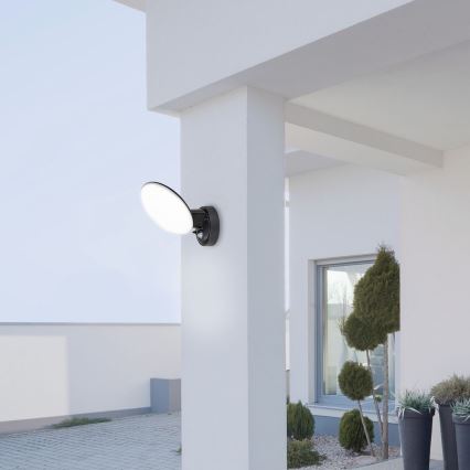 Rabalux 8135 - LED Utomhus Väggbelysning VARNA LED/12W/230V IP54