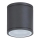 Rabalux 8150 - Utomhus Takbelysning AKRON 1xGU10/35W/230V IP54