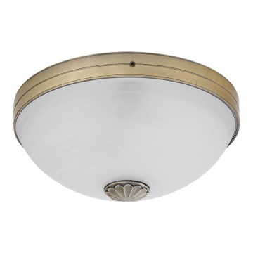 Rabalux 8558 - Takbelysning ORCHIDEA 2xE27/60W/230V
