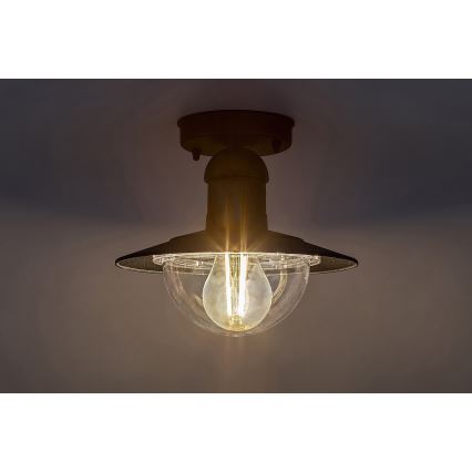 Rabalux 8716 - Utomhus Takbelysning OSLO 1xE27/60W