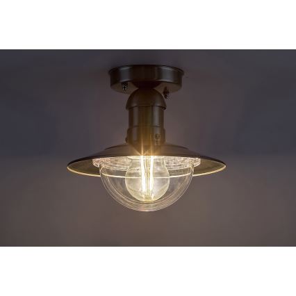 Rabalux 8763 - Utomhus Tak OSLO ljus 1xE27/60W