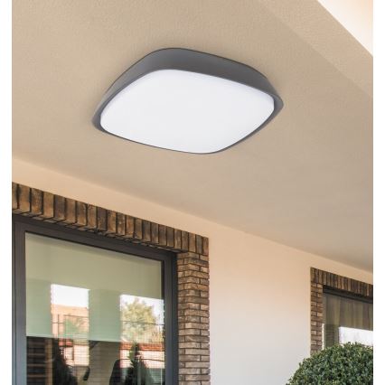 Rabalux 8797 - LED Utomhus Takbelysning AUSTIN LED/20W/230V IP65