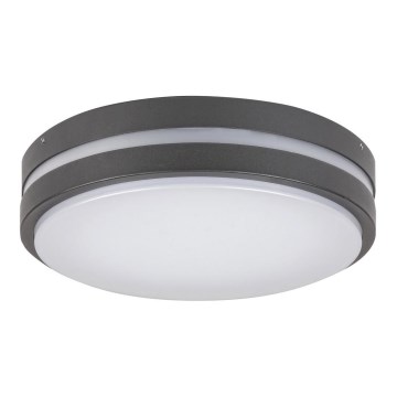 Rabalux 8848 - LED Utomhus Väggbelysning HAMBURG LED/12W/230V IP44
