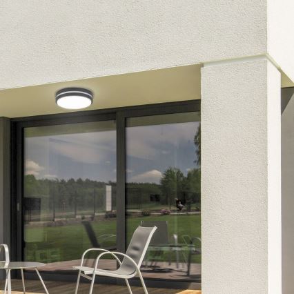Rabalux 8848 - LED Utomhus Väggbelysning HAMBURG LED/12W/230V IP44