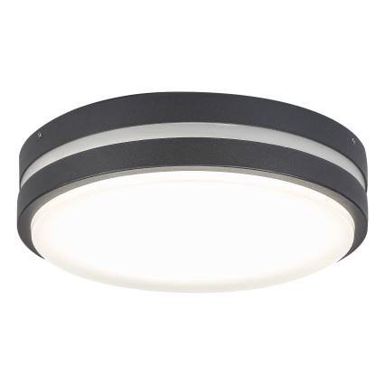 Rabalux 8848 - LED Utomhus Väggbelysning HAMBURG LED/12W/230V IP44