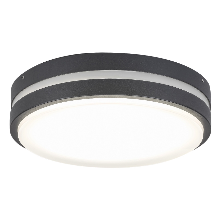 Rabalux 8848 - LED Utomhus Väggbelysning HAMBURG LED/12W/230V IP44