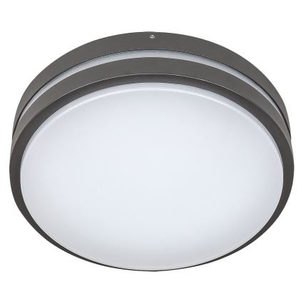 Rabalux 8848 - LED Utomhus Väggbelysning HAMBURG LED/12W/230V IP44