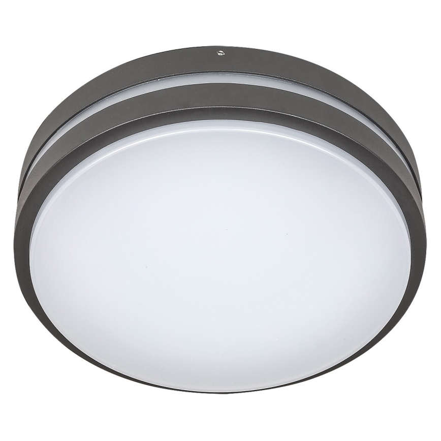 Rabalux 8848 - LED Utomhus Väggbelysning HAMBURG LED/12W/230V IP44