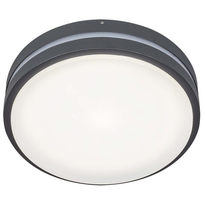 Rabalux 8848 - LED Utomhus Väggbelysning HAMBURG LED/12W/230V IP44