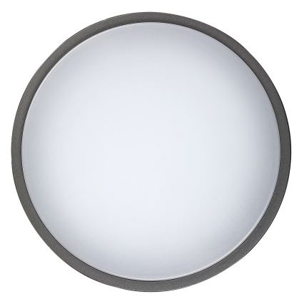 Rabalux 8848 - LED Utomhus Väggbelysning HAMBURG LED/12W/230V IP44