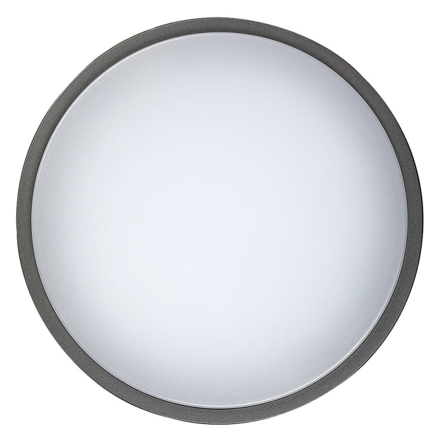 Rabalux 8848 - LED Utomhus Väggbelysning HAMBURG LED/12W/230V IP44