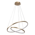 Rabalux - LED-dimbar pendellampa på vajer LED/75W/230V 3000–6500K + fjärrkontroll