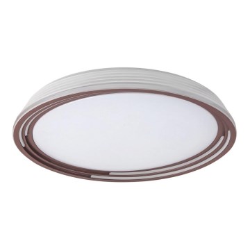 Rabalux - LED Dimbar Takbelysning LED/36W/230V