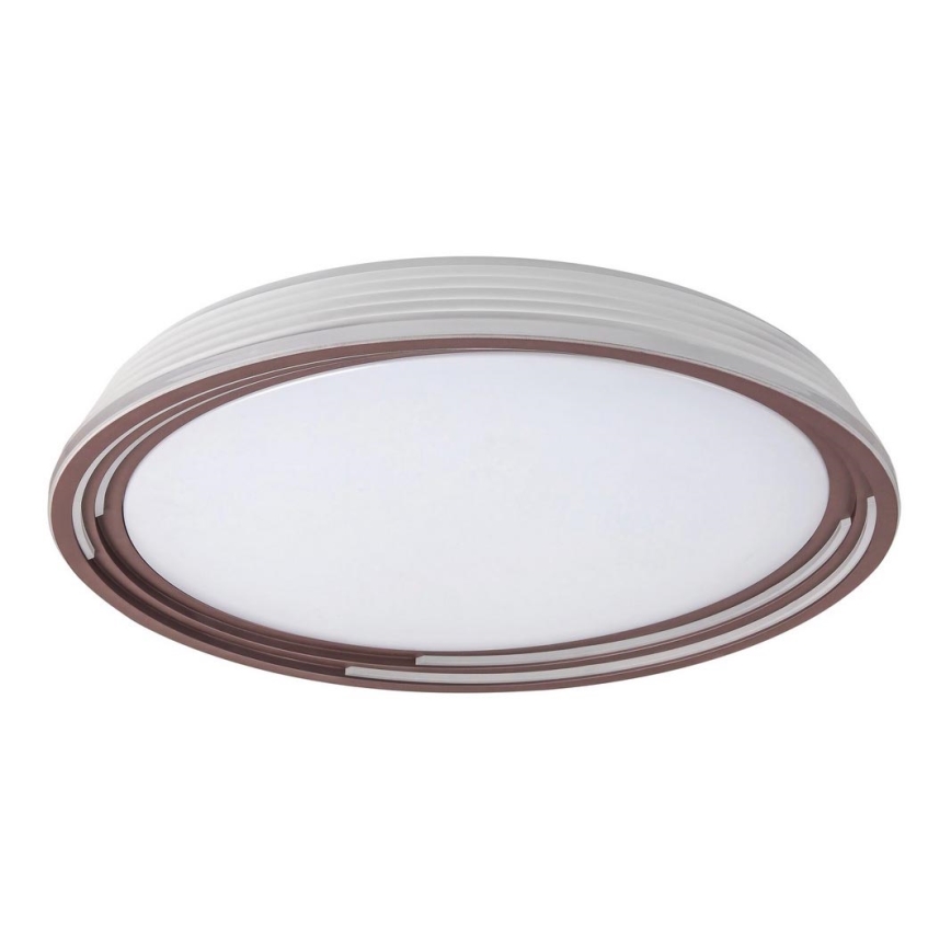 Rabalux - LED Dimbar Takbelysning LED/36W/230V
