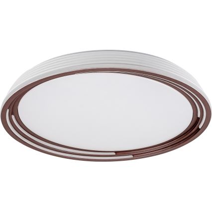Rabalux - LED Dimbar Takbelysning LED/36W/230V