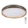 Rabalux - LED Dimbar taklampa LED/24W/230V 3000-6500K + fjärrkontroll
