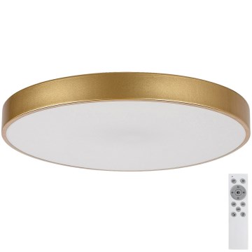 Rabalux - LED Dimbar taklampa LED/60W/230V 3000-6000K + fjärrkontroll