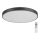 Rabalux - LED Dimbar taklampa LED/60W/230V 60 cm + fjärrkontroll