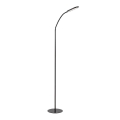 Rabalux - LED Dimbar Touch Golvlampa LED/10W/230V 3000-6000K svart