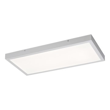 Rabalux - LED fäst panel LED/24W/230V 4000K 60x30 cm