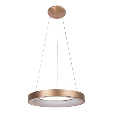 Rabalux - LED Ljuskrona med snöre BilMELLA LED/50W/230V