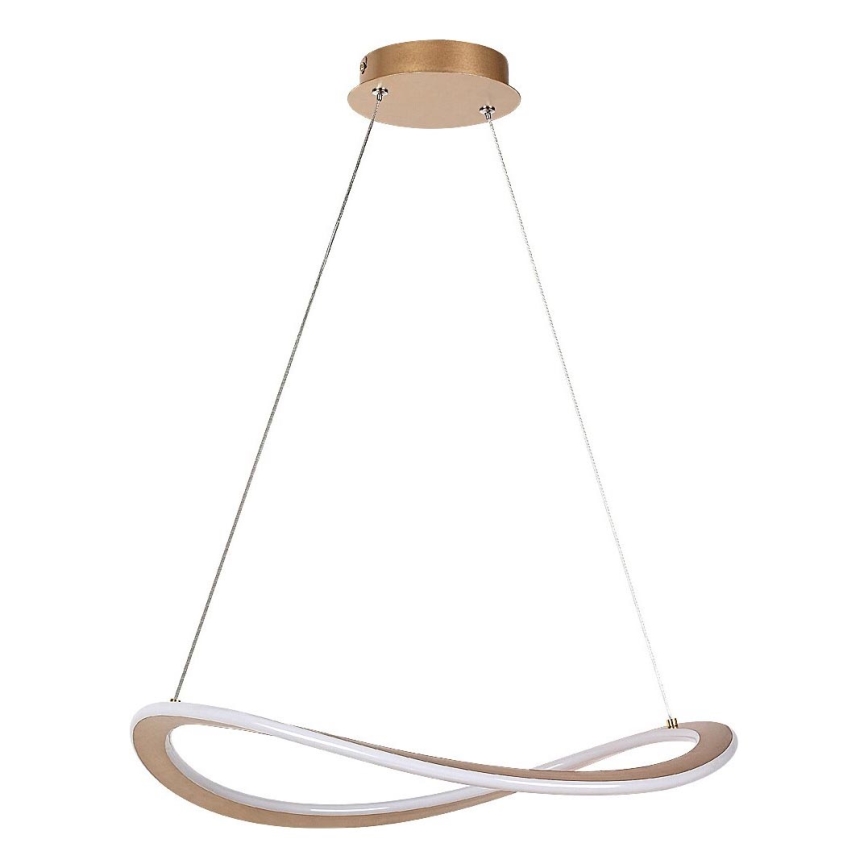 Rabalux - LED-pendel på kabel LED/40W/230V 3000K
