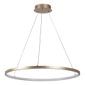 Rabalux - LED-pendel på vajer LED/55W/230V 3000K