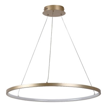 Rabalux - LED-pendel på vajer LED/55W/230V 3000K