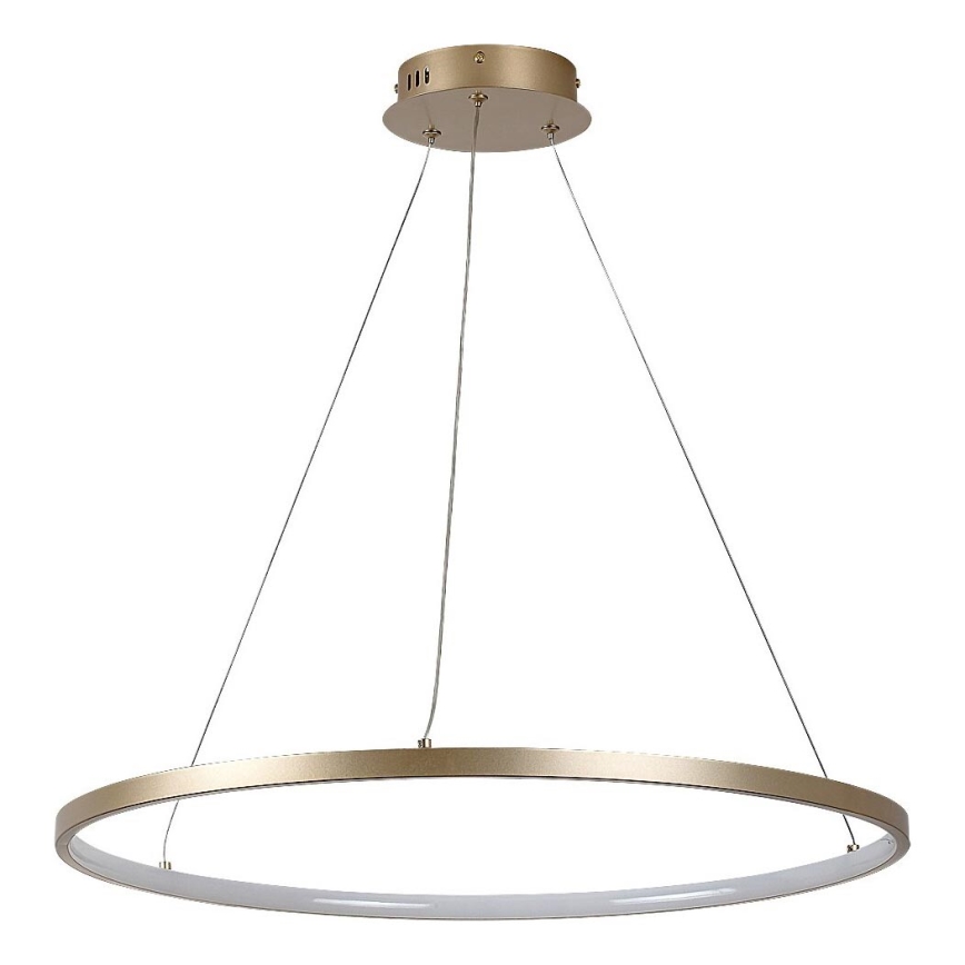 Rabalux - LED-pendel på vajer LED/55W/230V 3000K