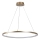 Rabalux - LED-pendel på vajer LED/55W/230V 3000K