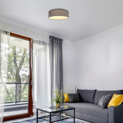 Rabalux - LED Takbelysning LED/22W/230V grå
