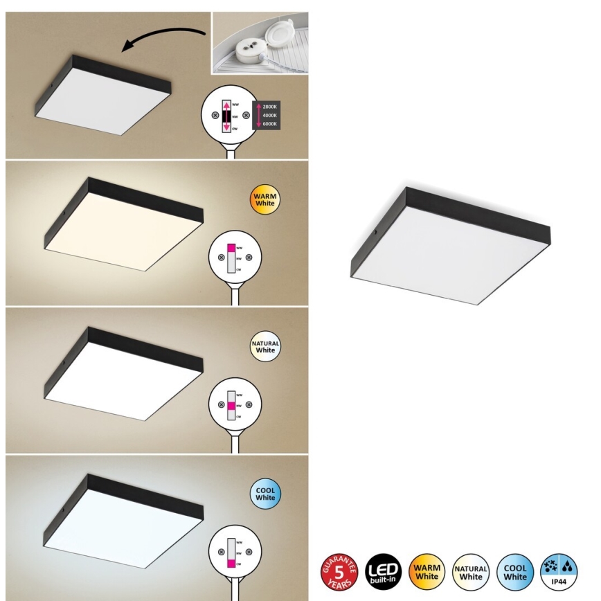 Rabalux - LED Takbelysning LED/24W/230V 3000-6000K IP44 svart