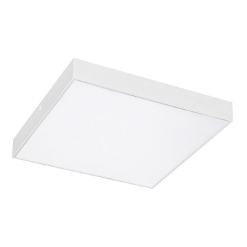 Rabalux - LED Takbelysning LED/24W/230V 3000-6000K IP44 vit