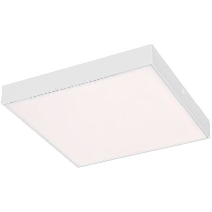 Rabalux - LED Takbelysning LED/24W/230V 3000-6000K IP44 vit