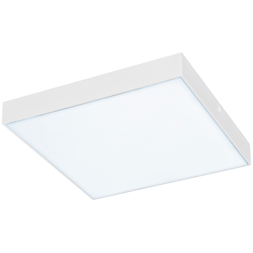 Rabalux - LED Takbelysning LED/24W/230V 3000-6000K IP44 vit
