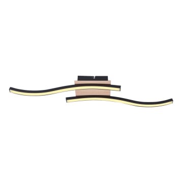 Rabalux - LED Taklampa 2xLED/12W/230V