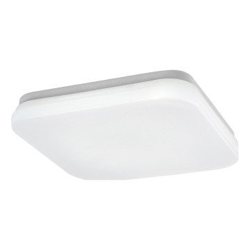 Rabalux - LED taklampa för badrum LED/12W/230V 3000/4000/6000K IP44