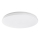 Rabalux - LED taklampa för badrum LED/18W/230V 3000/4000/6000K IP44