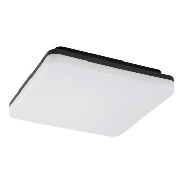Rabalux - LED taklampa för badrum LED/24W/230V IP54