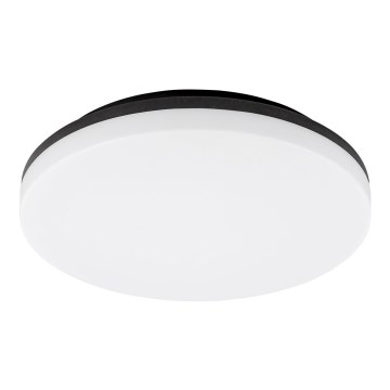 Rabalux - LED taklampa för badrum LED/24W/230V IP54