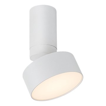 Rabalux - LED taklampa LED/10W/230V 3000K vit