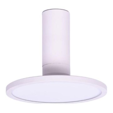 Rabalux - LED taklampa LED/20W/230V 3000K vit