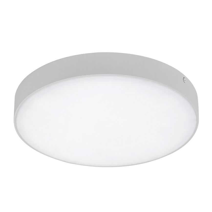 Rabalux - LED-taklampa LED/24W/230V 2800-6000K IP44 vit Ø 30 cm